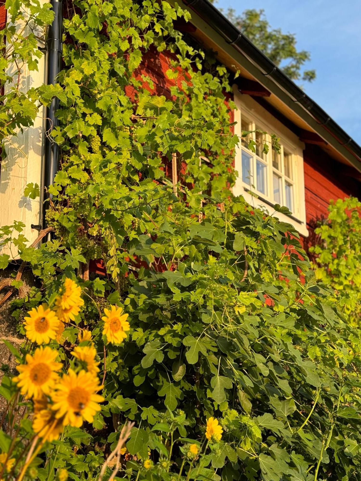 Villa Brunstorpsgard Braenneriet Huskvarna Esterno foto